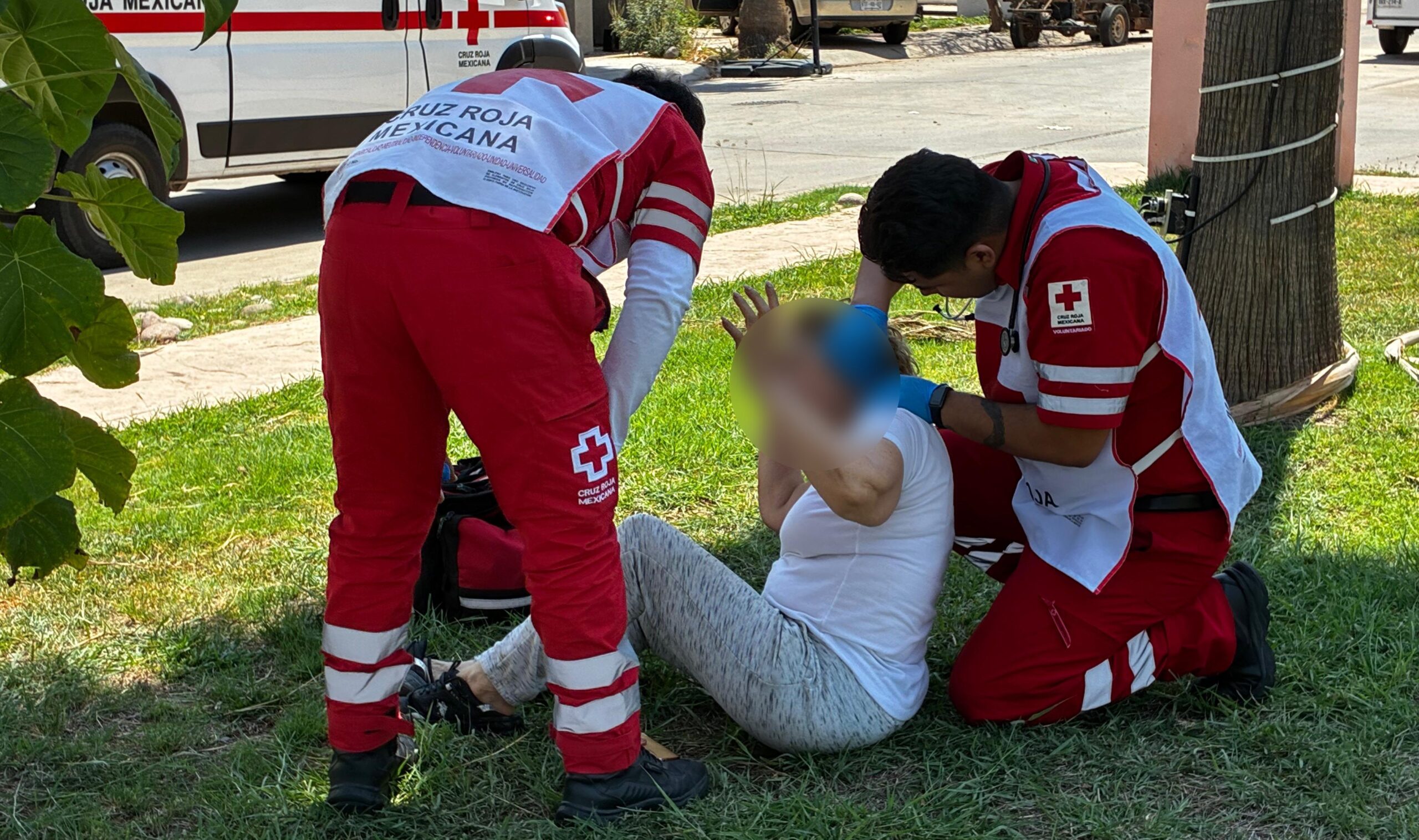 personas adultas atacadas por abejas en los mochis