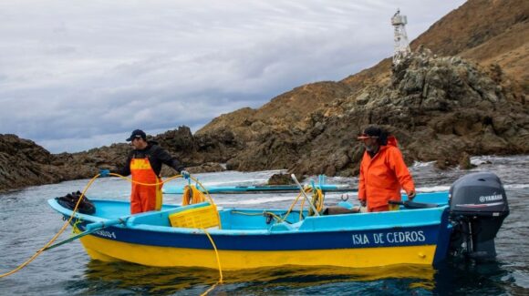 Más de 4 mil toneladas de pesca ilegal decomisadas en México en solo 6 meses: Sader y Semar intensifican operativos