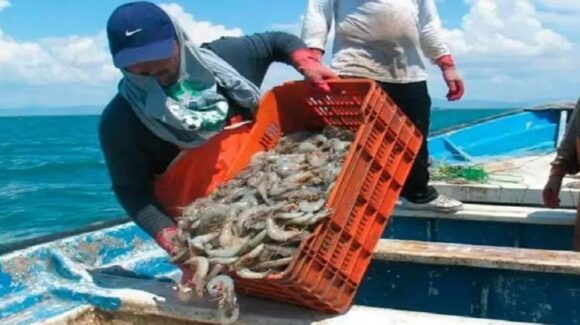 Pescadores de Angostura esperan buena zafra para poder pagar deudas acumuladas