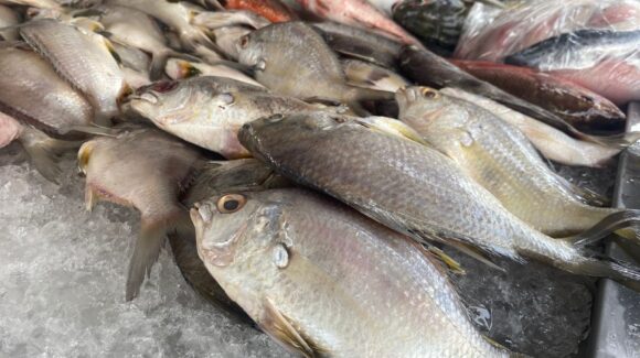 Mercado de mariscos de Mazatlán enfrenta escasez de visitantes y de producto