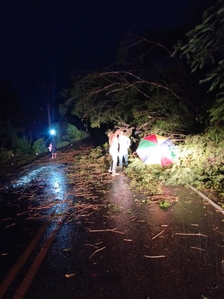 Poste caído n Guasave