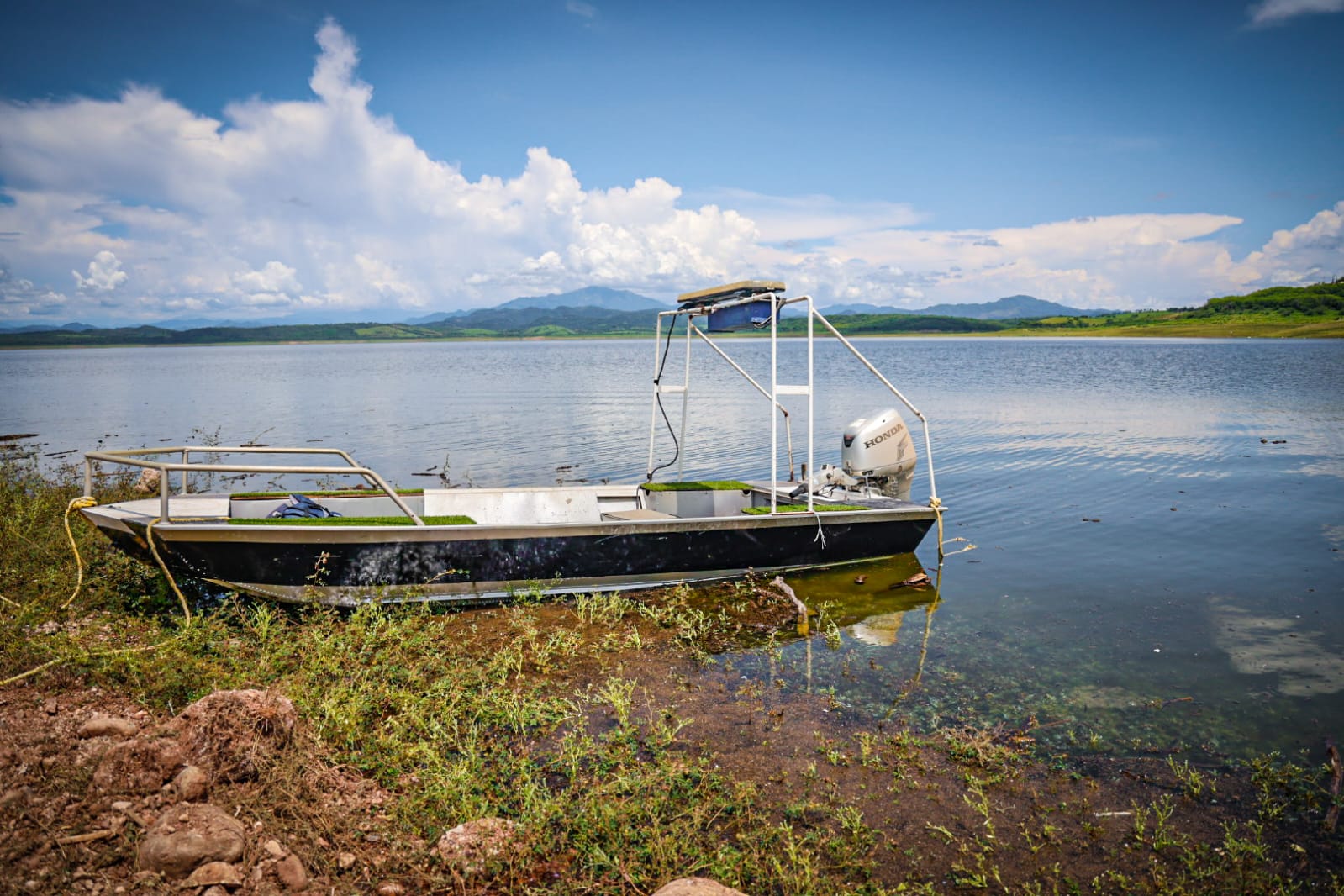 Presa Sanalona