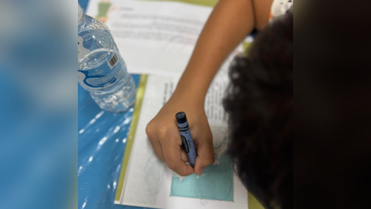 Programa "Aprendiendo de la mar" en Mazatlán