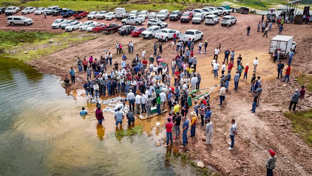 Programa de Repoblamiento de Alevines en presa Sanalona