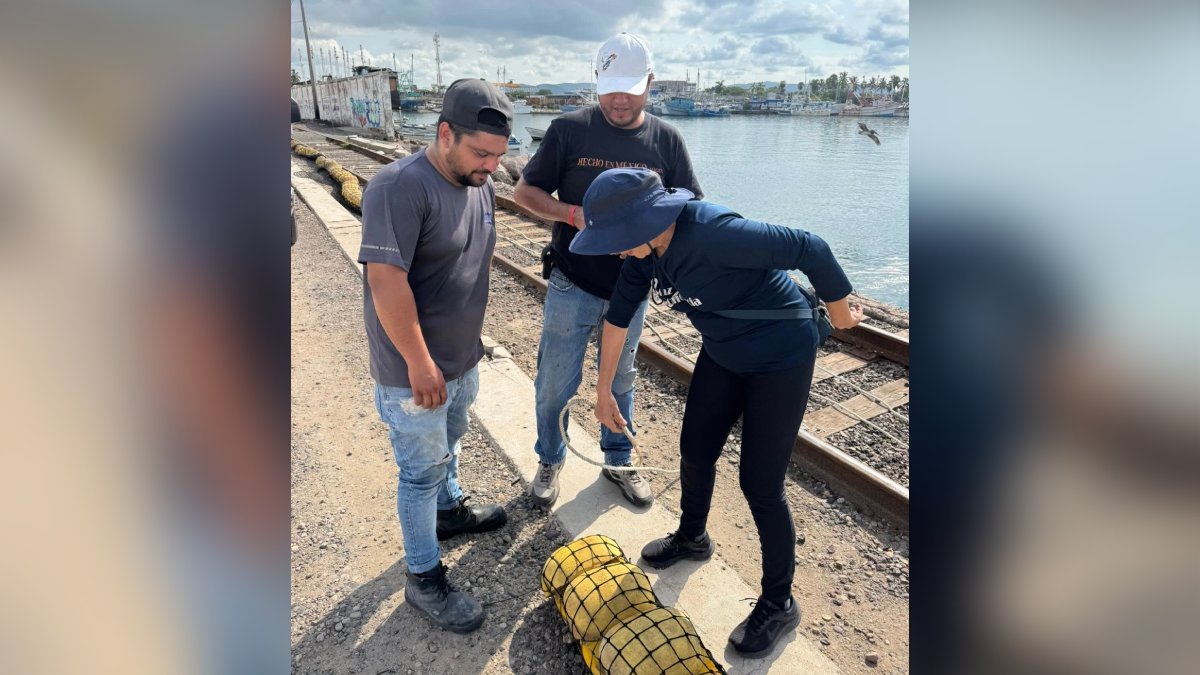 MazConciencia repara biobarda en el Puente Juárez, Mazatlán