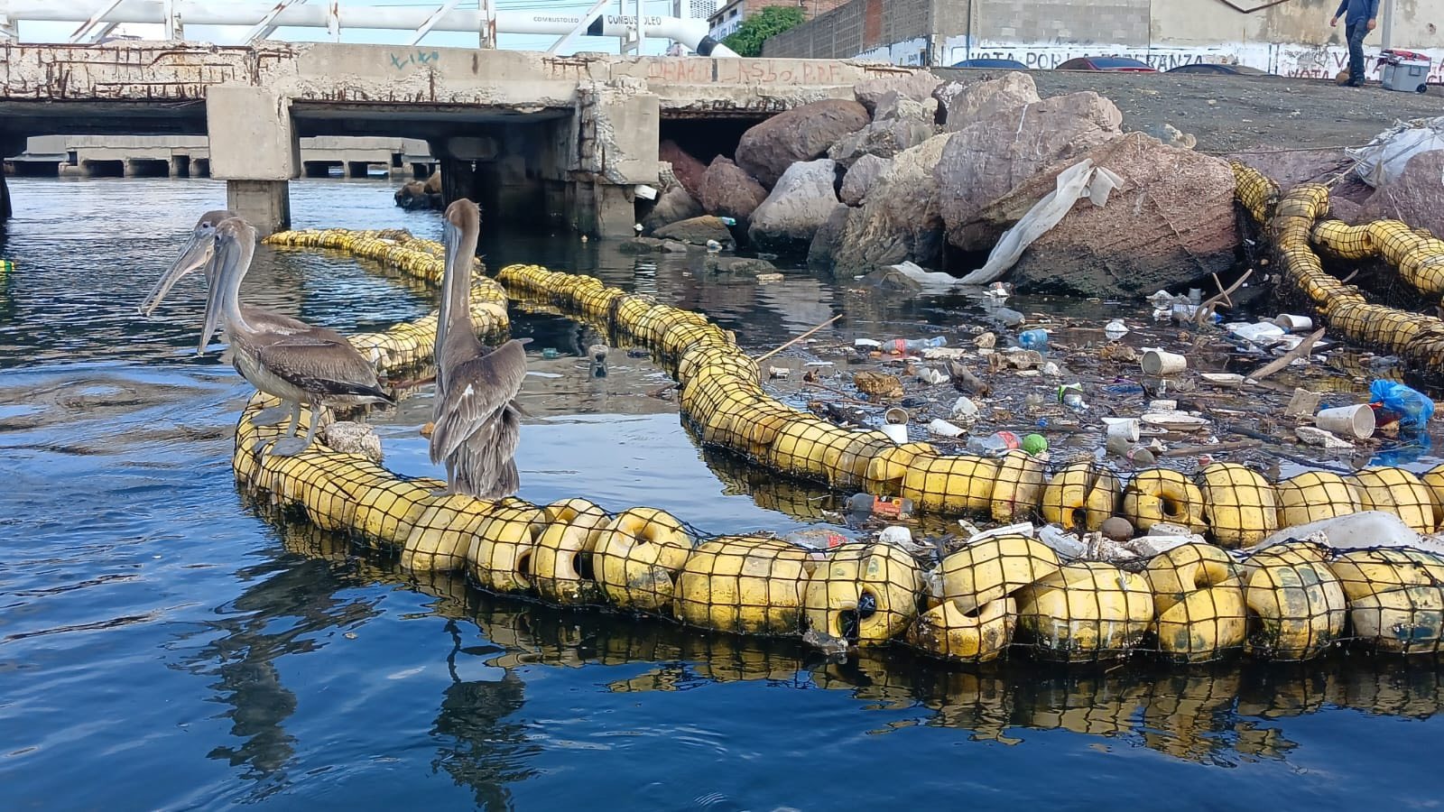 MazConciencia repara biobarda en el Puente Juárez, Mazatlán