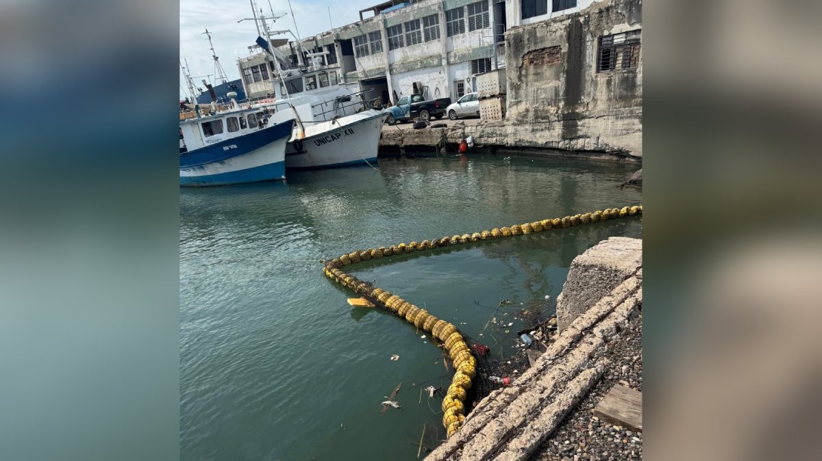 MazConciencia repara biobarda en el Puente Juárez, Mazatlán