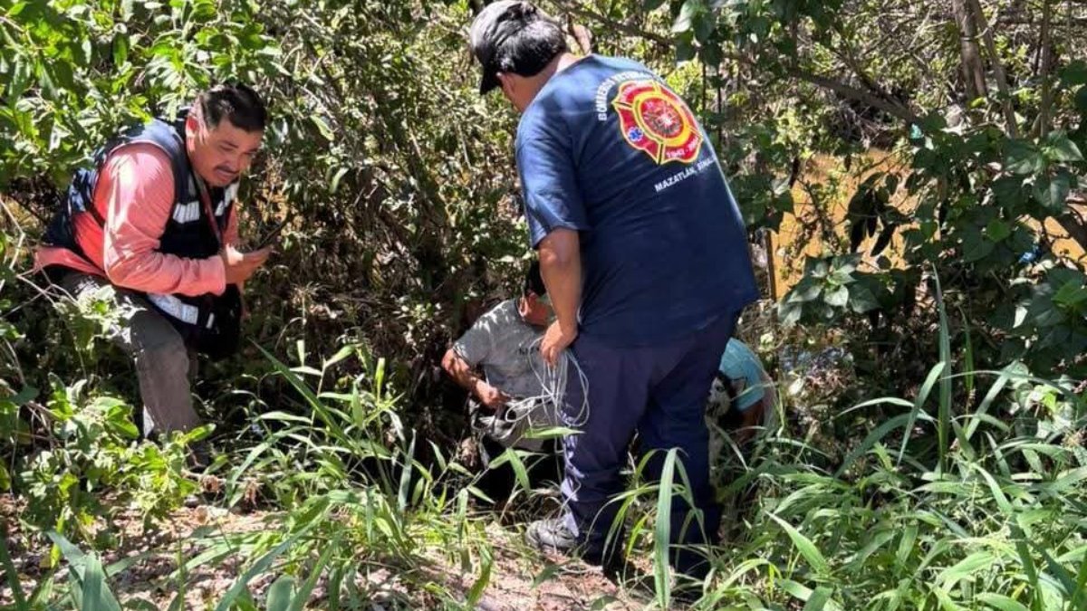 Rescatan a perros de un canal de Mazatlán