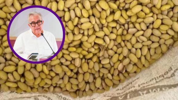 Plantea Rocha apoyar siembra de frijol bajo esquema de agricultura por contrato