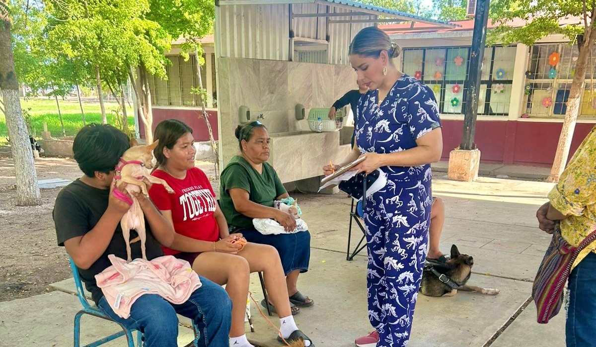 Gobierno de El Fuerte y Huellita con Causa IAP hacen posible 90 esterilizaciones de mascotas