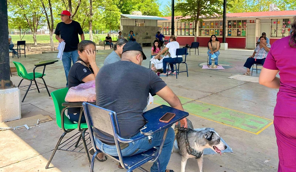 Gobierno de El Fuerte y Huellita con Causa IAP hacen posible 90 esterilizaciones de mascotas