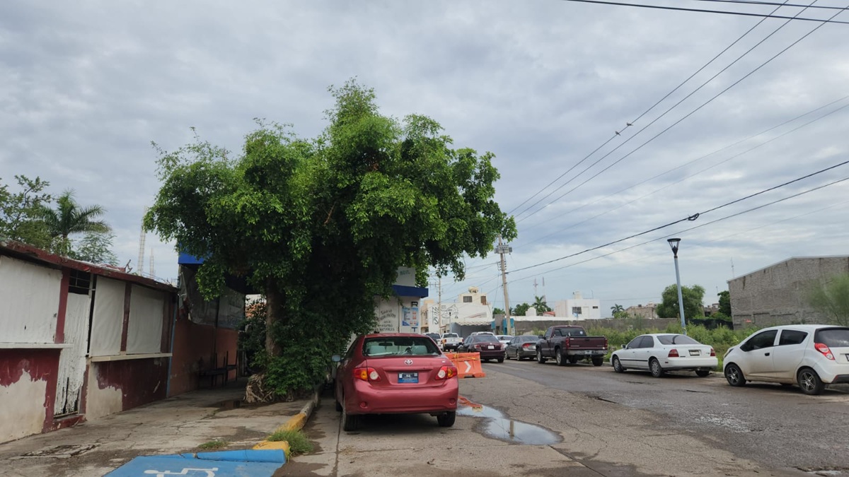 Socavón en Juan Carrasco en el Centro de Guasave