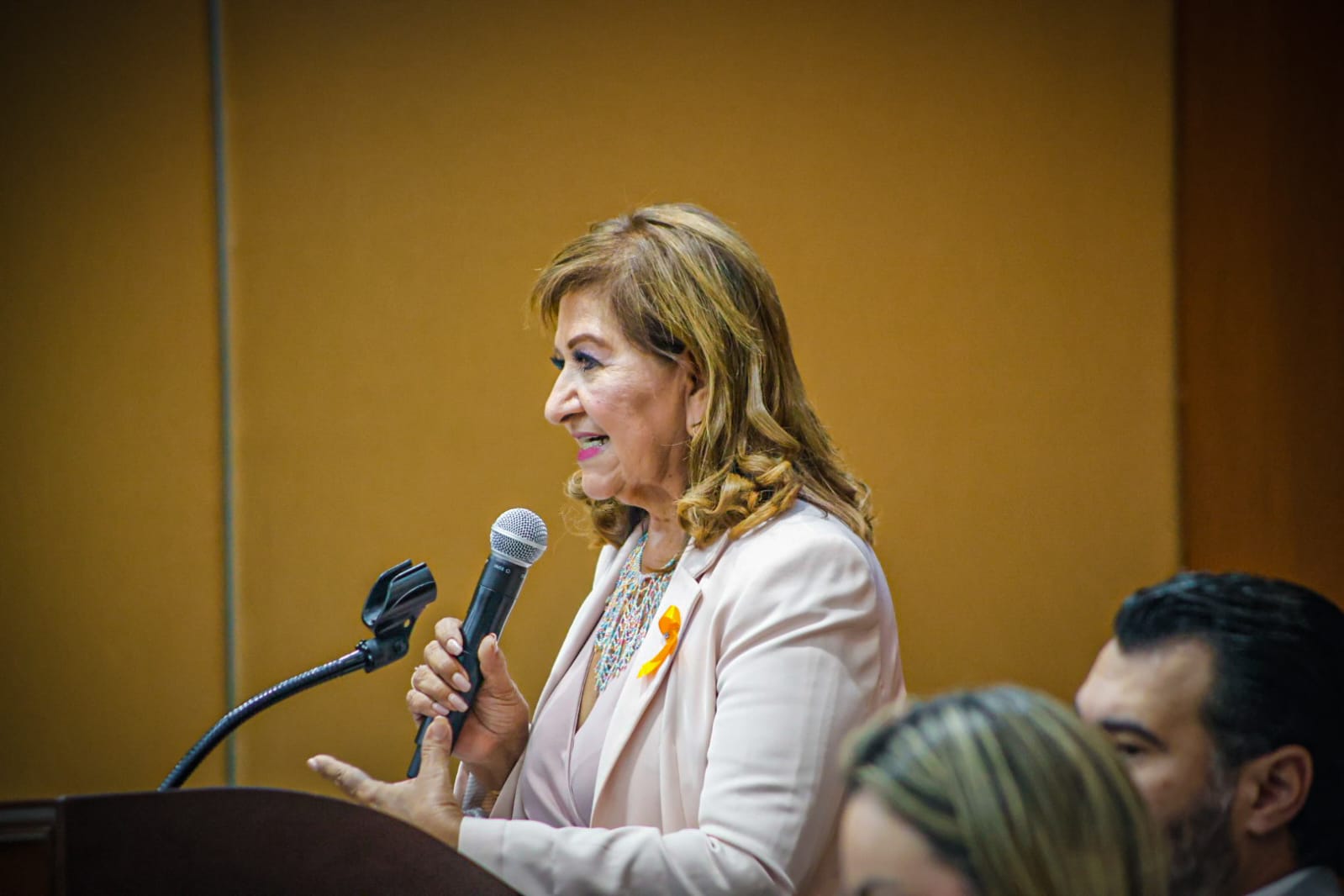Teresa Guerra Ochoa