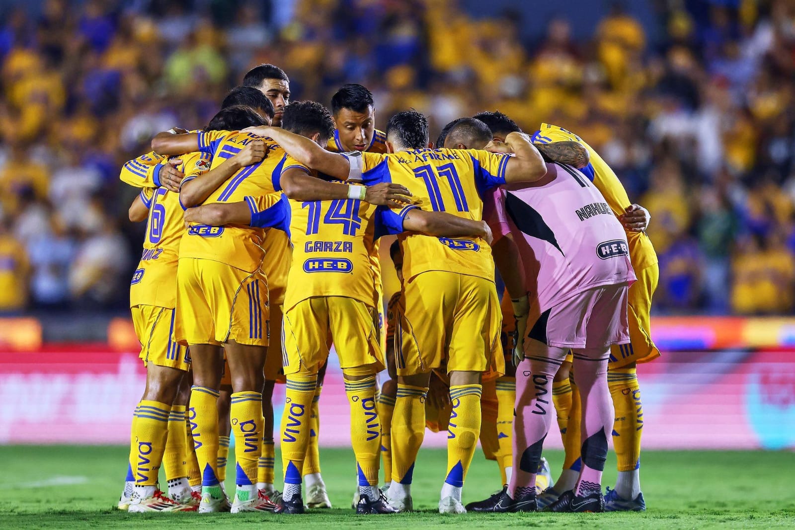 Tigres de la UANL