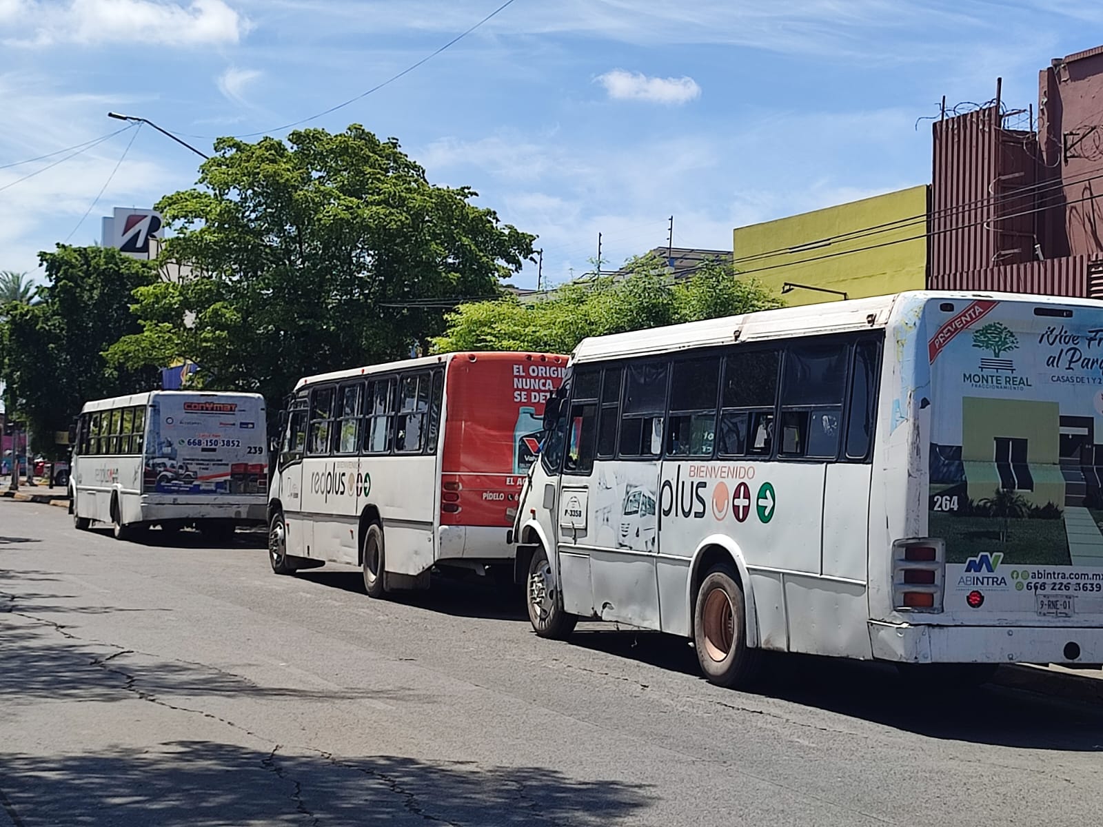 Transporte urbano de Los Mochis