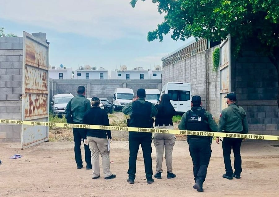 vehiculos recuperados