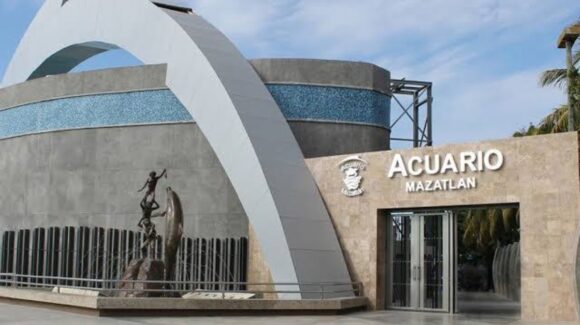 Nuevo Acuario tiene adeudo por instalaciones del viejo y buscamos que sea pago inmediato: Estrella Palacios