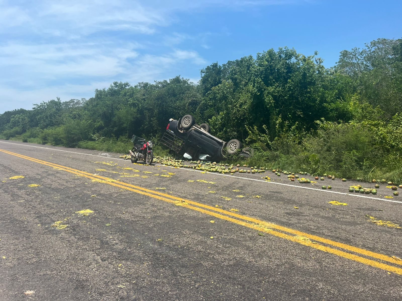 Vuelca camioneta cargada de mangos en carretera hacia Barrón