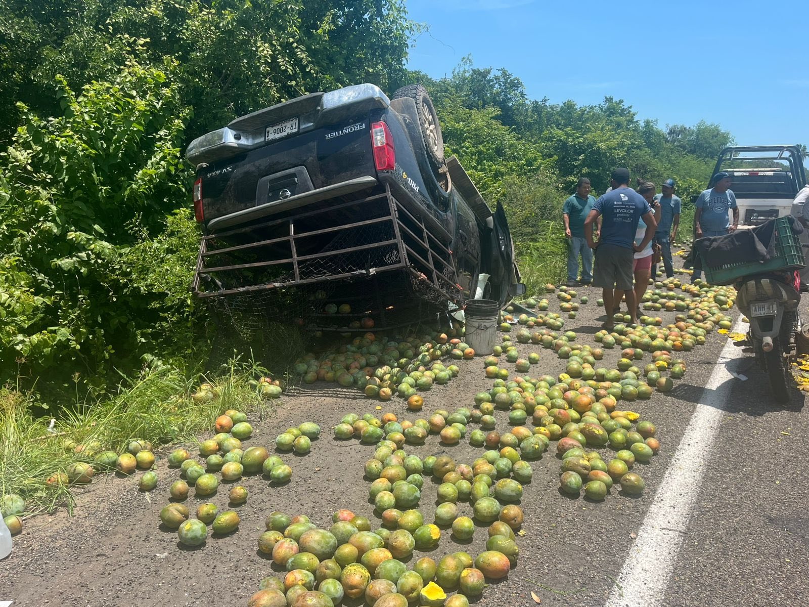 Vuelca camioneta cargada de mangos en carretera hacia Barrón