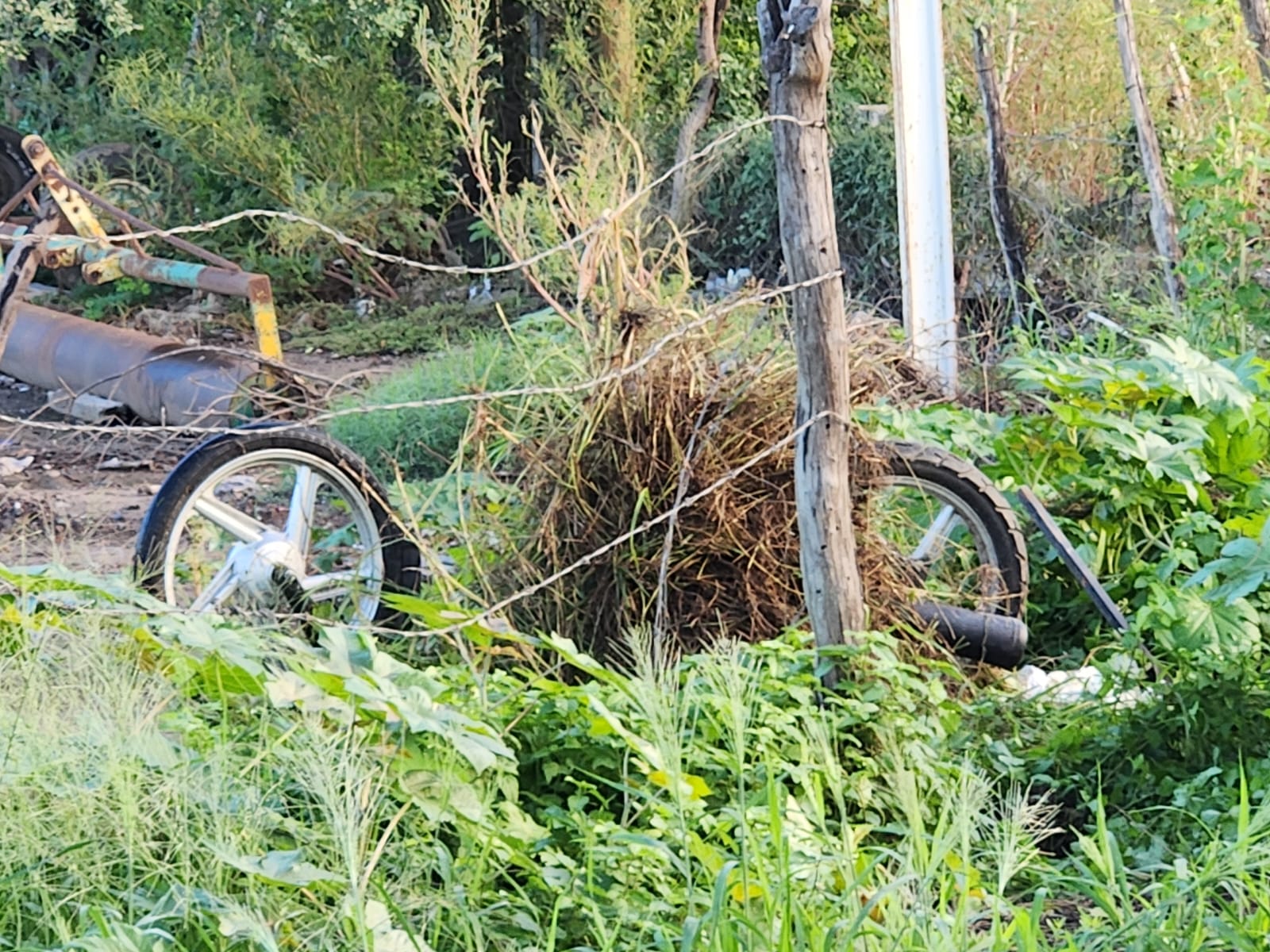Muere motociclista en Navolato