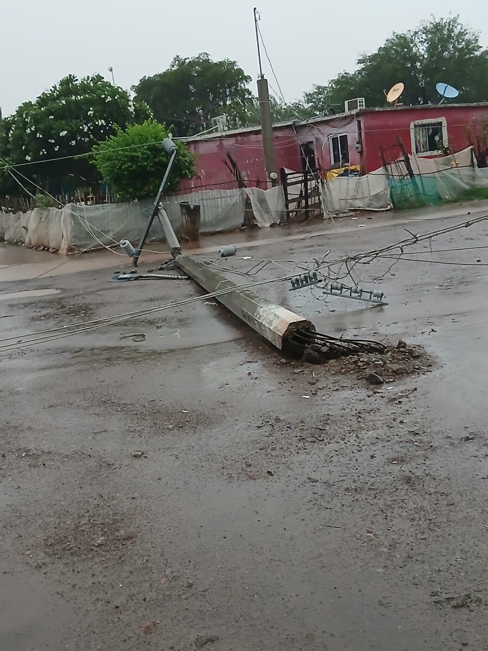 postes caidos dejo el paso de lorena por ahome