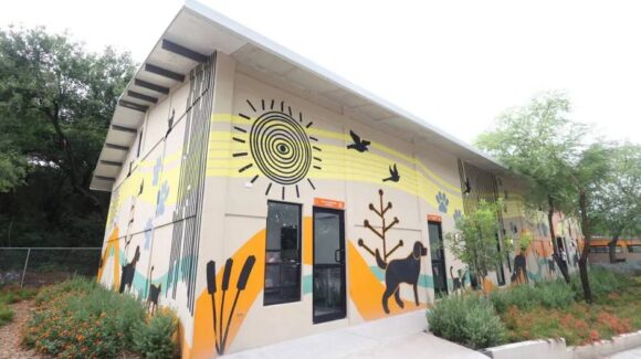 ¿Qué servicios ofrece el nuevo Centro de Atención Animal en Guadalupe? Ya opera con capacidad para 135 animales