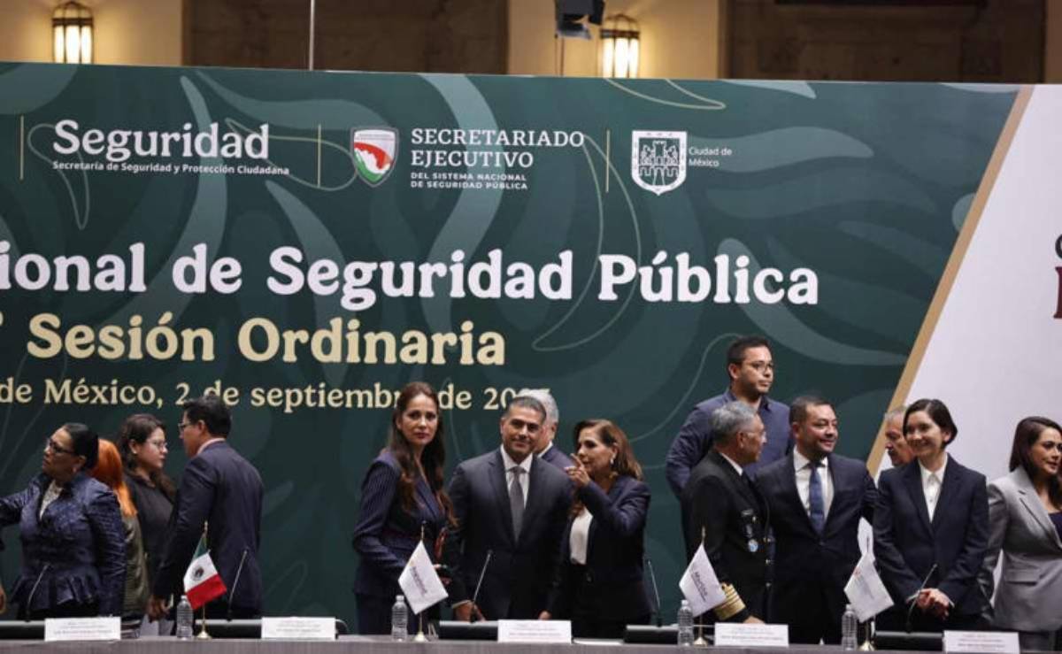 Consejo Nacional de Seguridad de este 2 de septiembre del 2025.