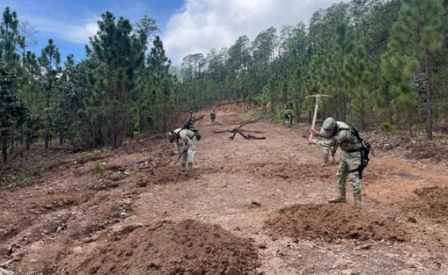 Ejército asegura pista clandestina en Choix