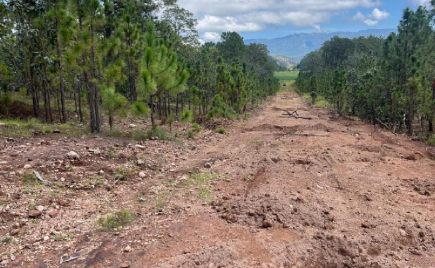 Ejército asegura pista clandestina en Choix