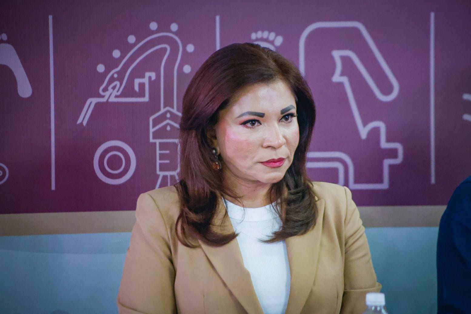 Gloria Himelda Félix, titular de SEPYC en Sinaloa