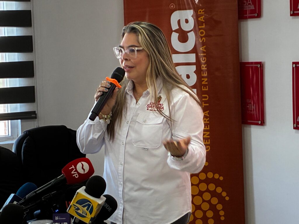 Irene Lerma, directora general de Sanfinsa