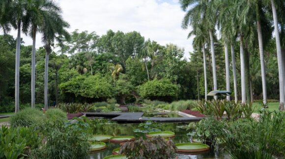 Jardín Botánico Culiacán y Parque Ecológico, espacios verdes urbanos que inspiran a la comunidad