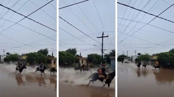 En medio de calles inundadas, jinetes sacan sus caballos a correr en Ahome