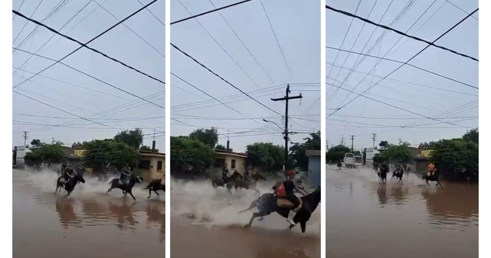 Jinetes sacan caballos en calles inundadas en Ahome