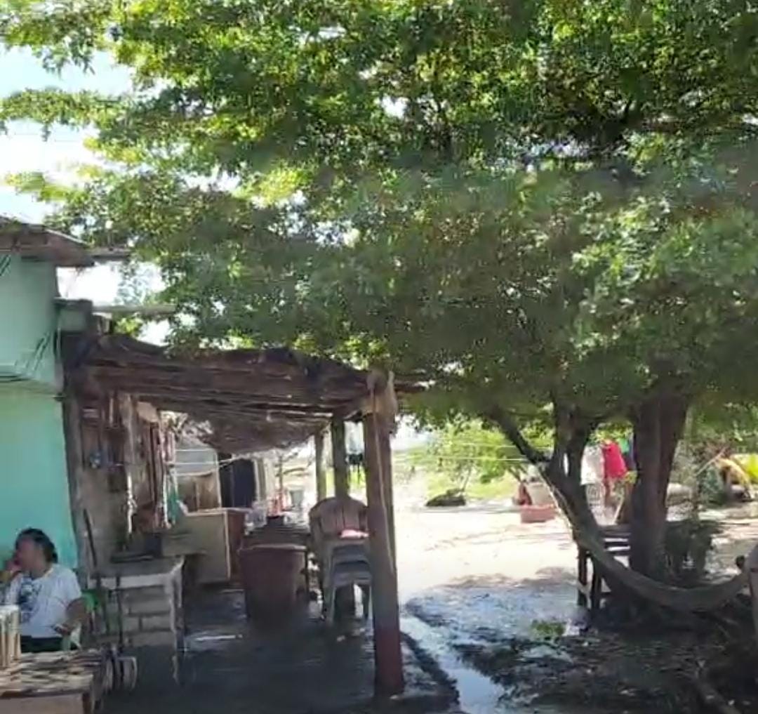 Levantan censo de afectaciones por Lorena en Guasave, enviarán información al estado
