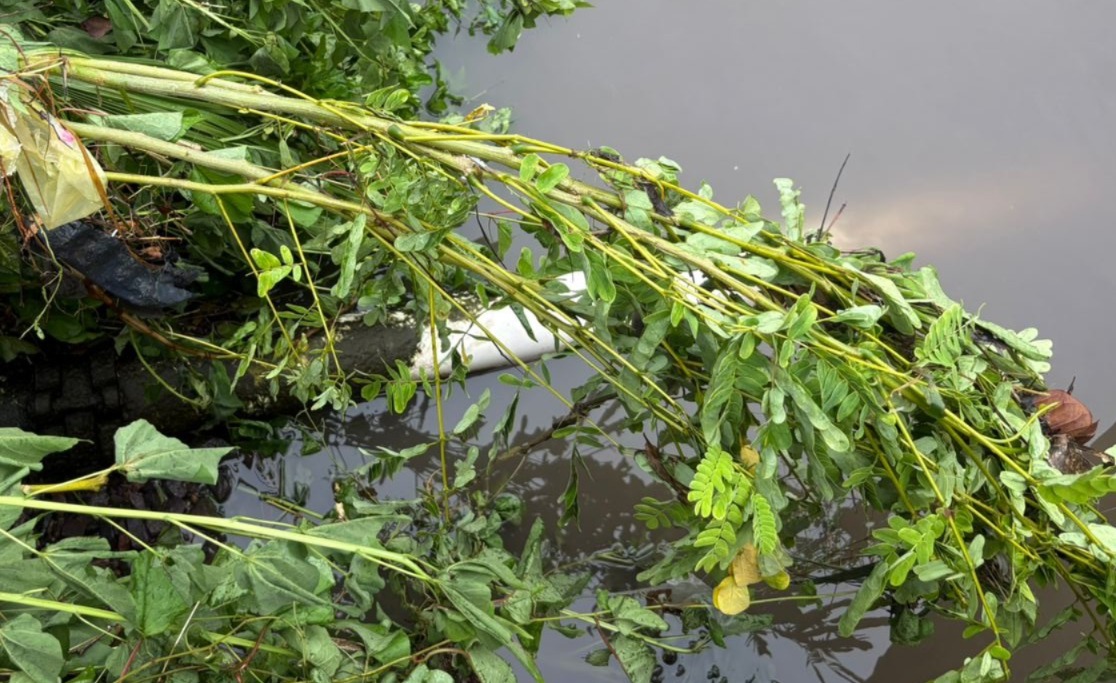 Lluvias colapsan drenaje y afectan suministro de agua en Mazatlán, Sinaloa