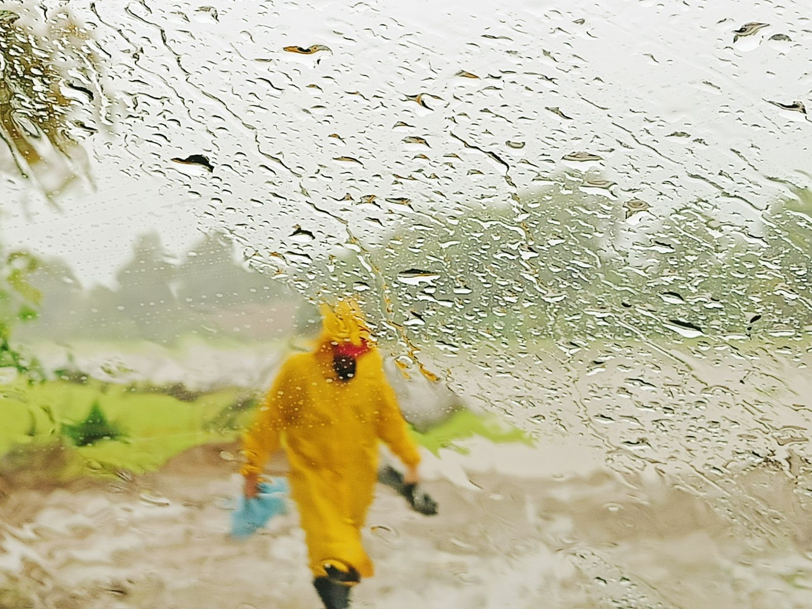 Lluvias en el puerto de Mazatlán