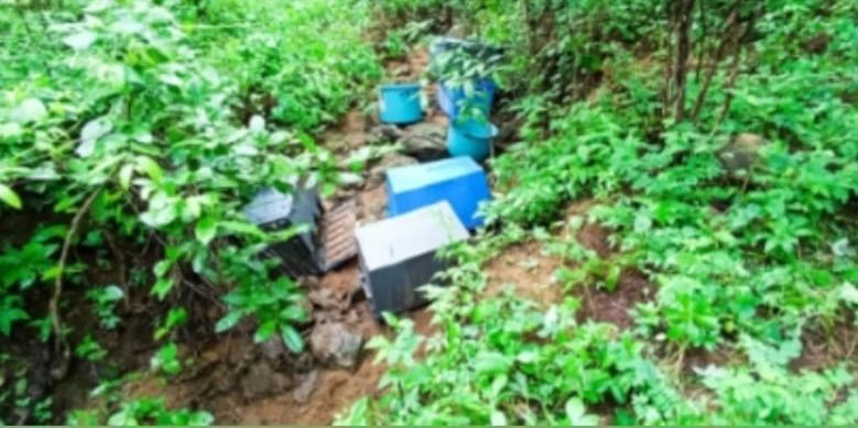 Militares destruyen 2 áreas de concentración de materiales químicos en Cosalá
