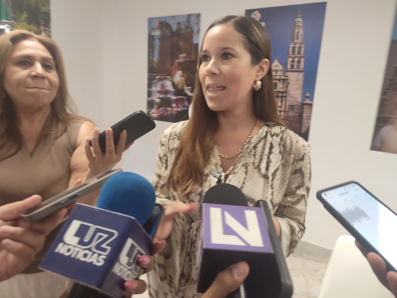 Mireya Sosa Osuna