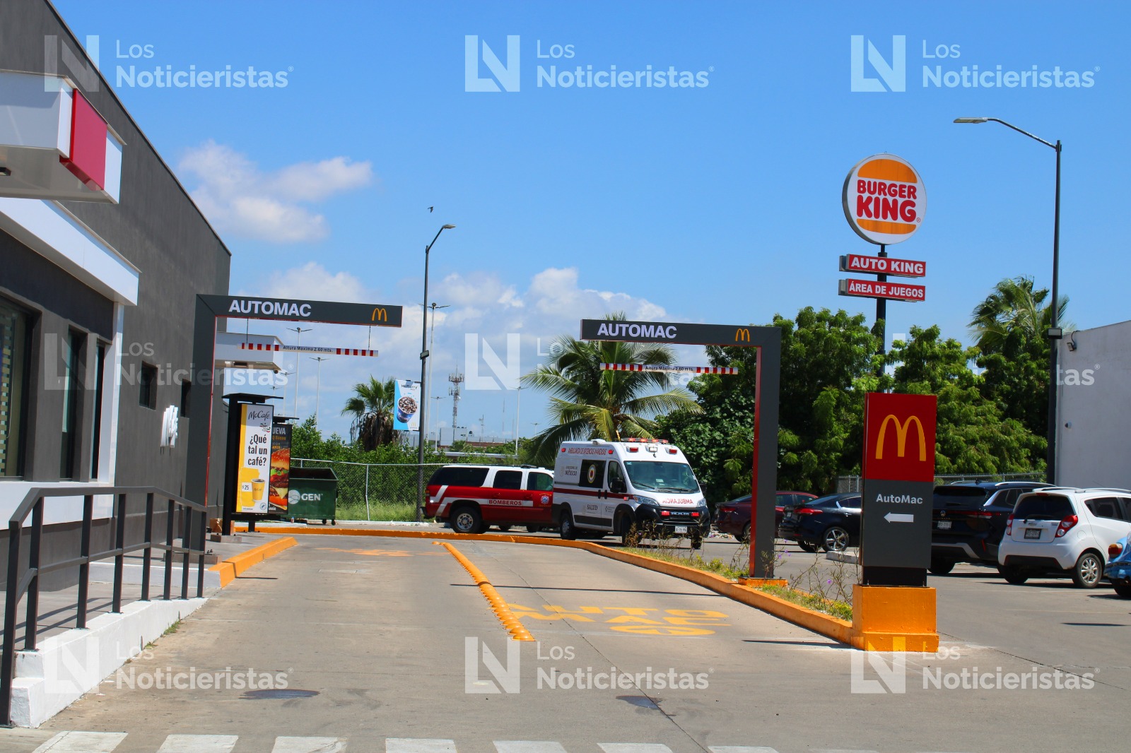Abejas atacan en restaurante y banco en Mazatlán, Sinaloa