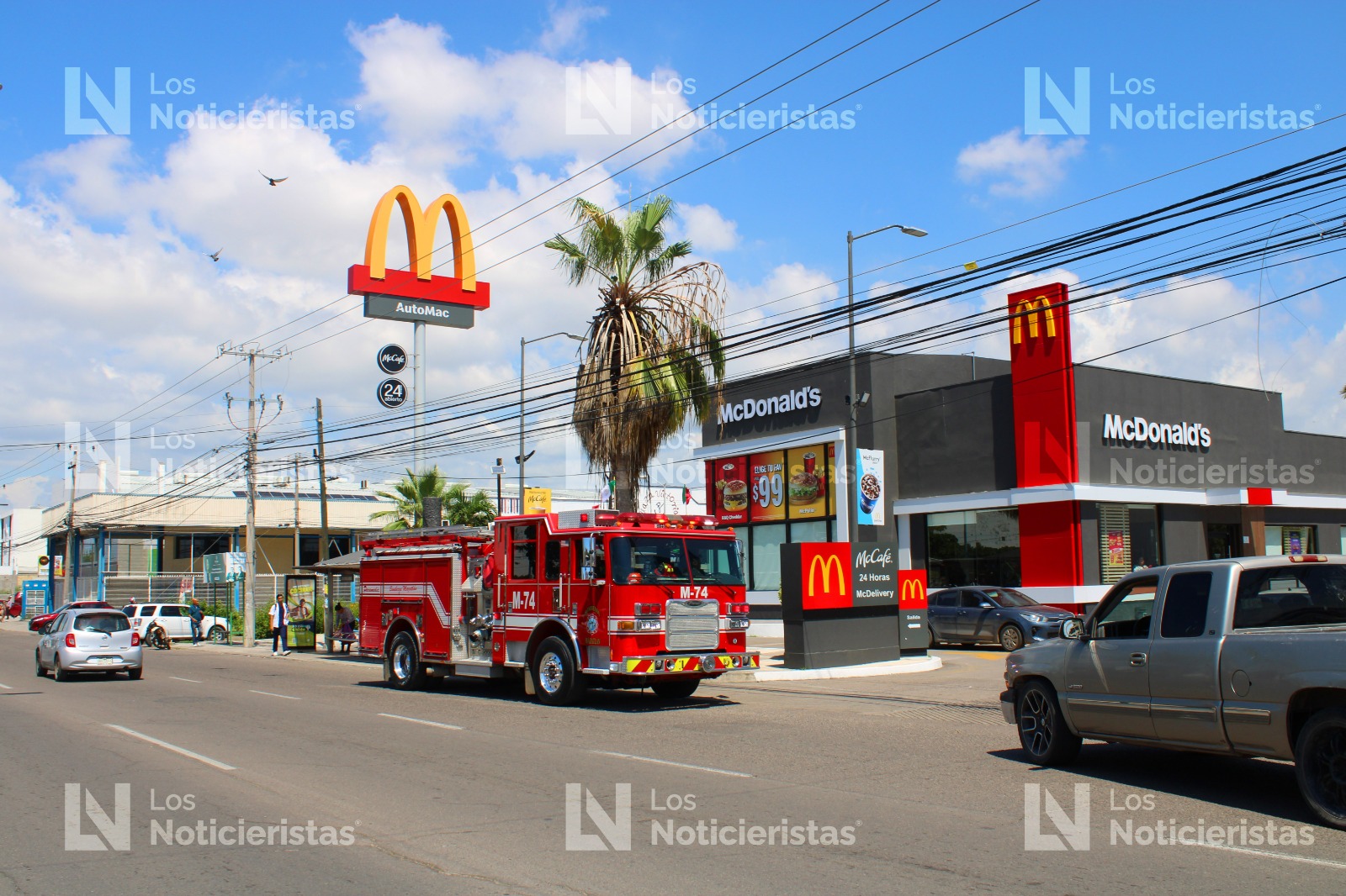 Abejas atacan en restaurante y banco en Mazatlán, Sinaloa