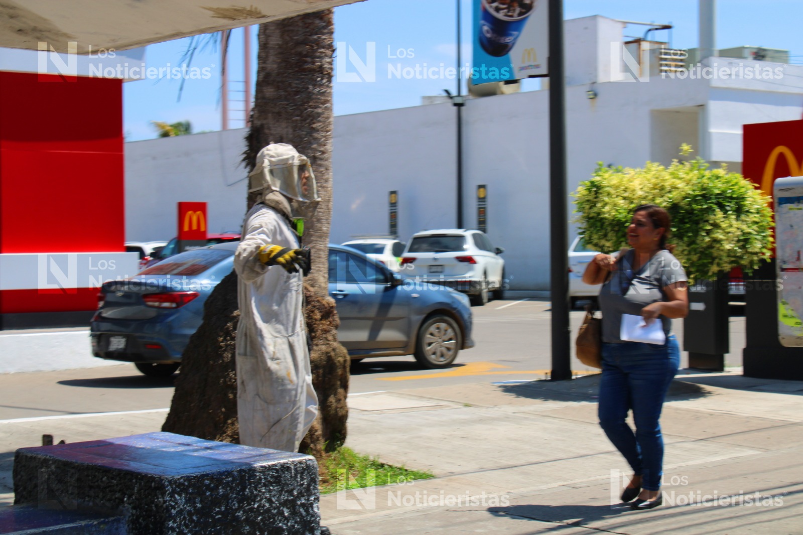Abejas atacan en restaurante y banco en Mazatlán, Sinaloa