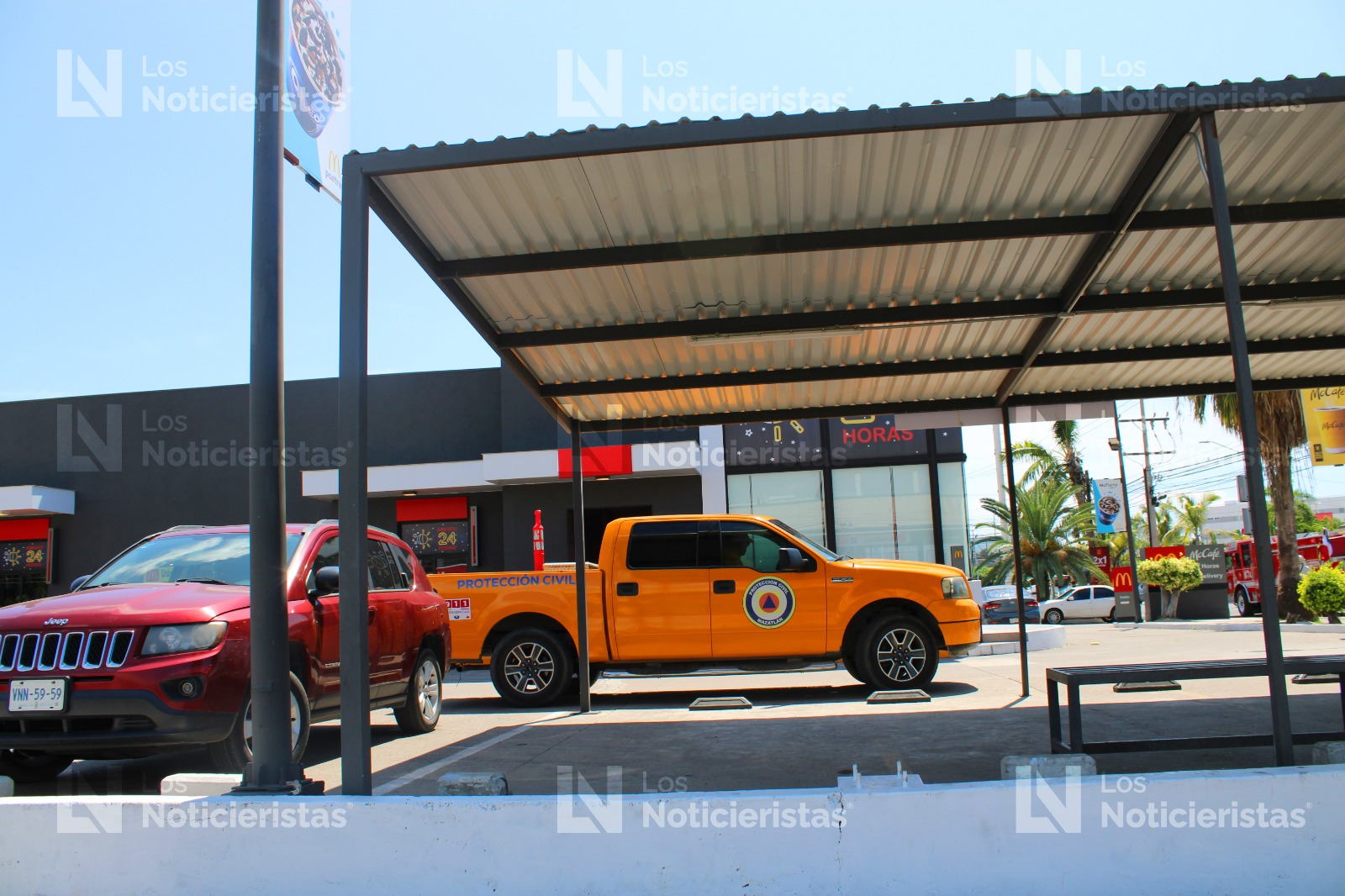 Abejas atacan en restaurante y banco en Mazatlán, Sinaloa
