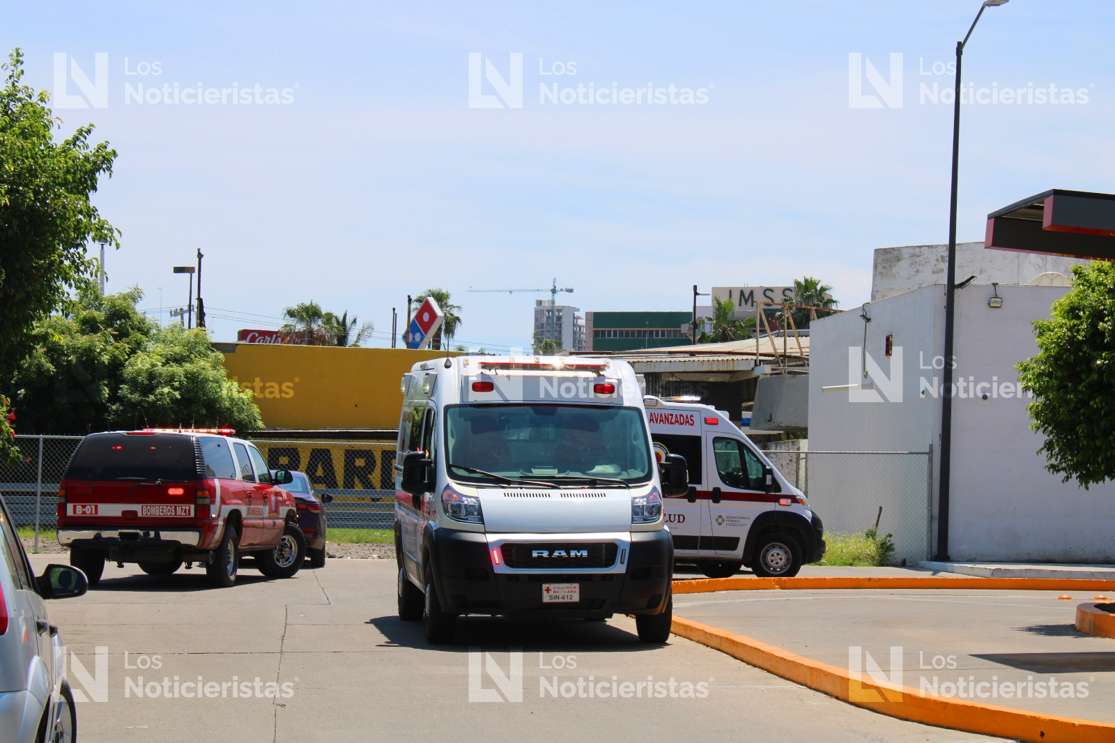 Abejas atacan en restaurante y banco en Mazatlán, Sinaloa