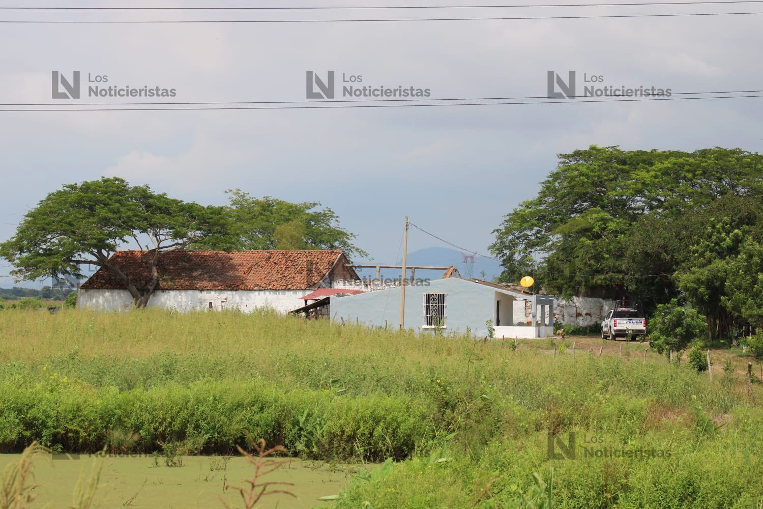 abuelo y nieto pierden la via por ataque de abejas en villa union rancho