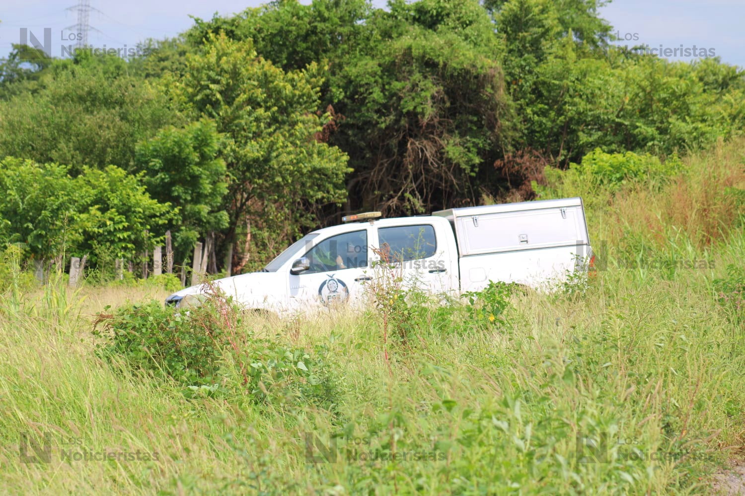 abuelo y nieto pierden la via por ataque de abejas en villa union sin