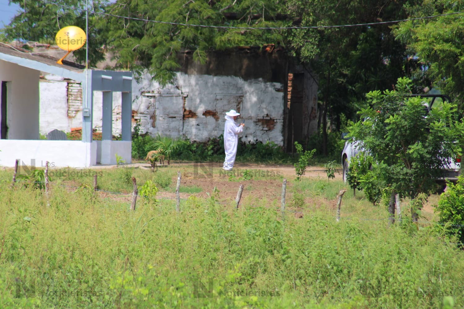 abuelo y nieto pierden la via por ataque de abejas en villa union sinaloa