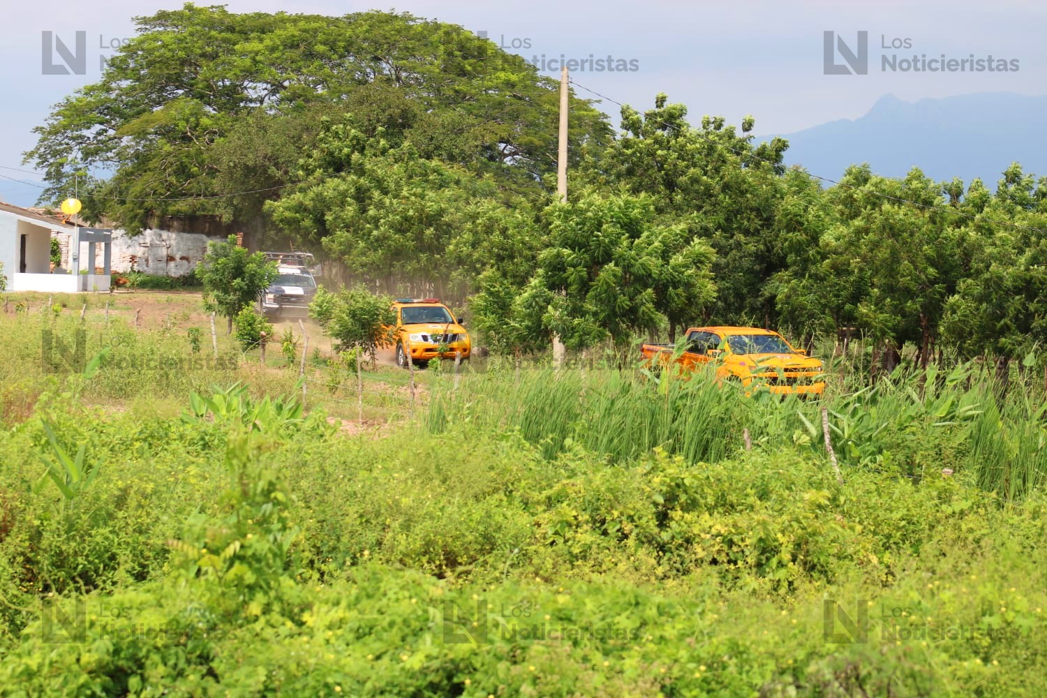 abuelo y nieto pierden la via por ataque de abejas en villa union