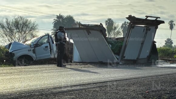 Camioneta con caja refrigerada se impacta contra palmera en la carretera México 15, en San Miguel Zapotitlán, Ahome