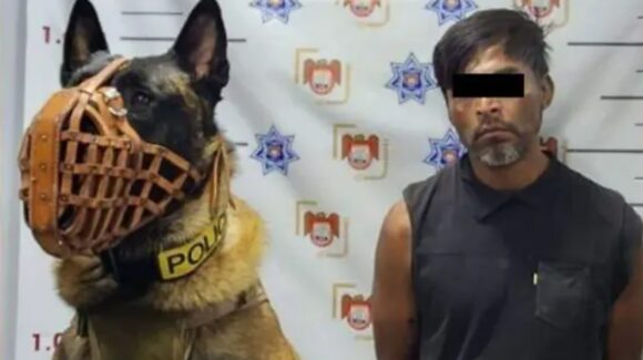 En Tijuana, con ayuda de agente canino, neutralizan a hombre que amenazaba con cuchillo a un familiar